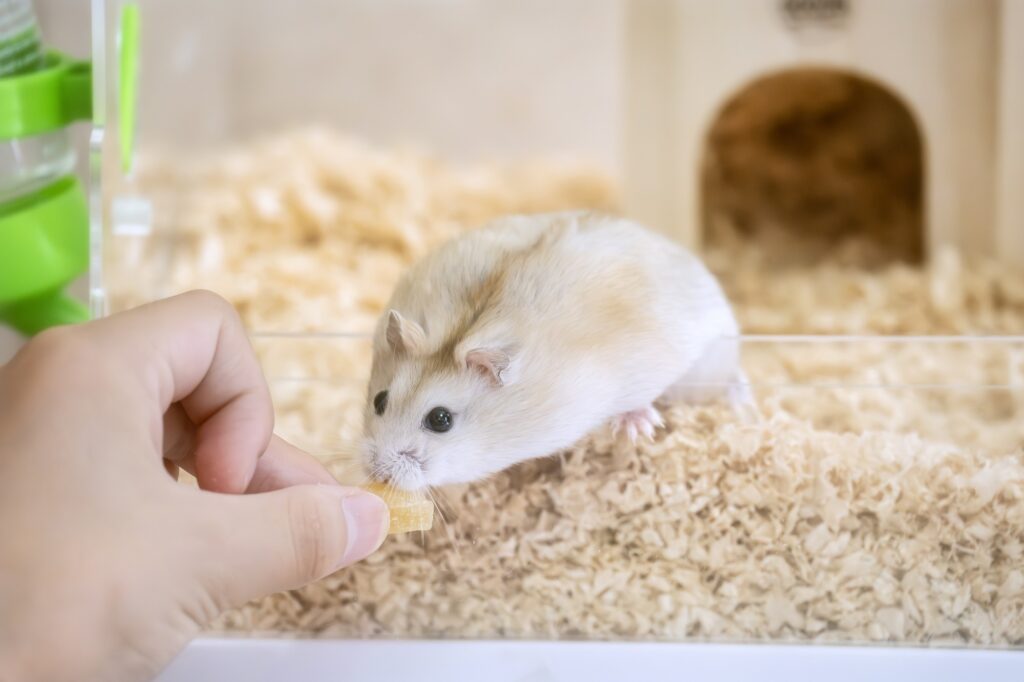 しこり・できものを見つけたときに自宅でしてはいけないこと
