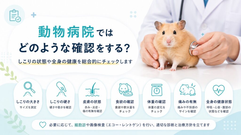 動物病院ではどのような確認をする？