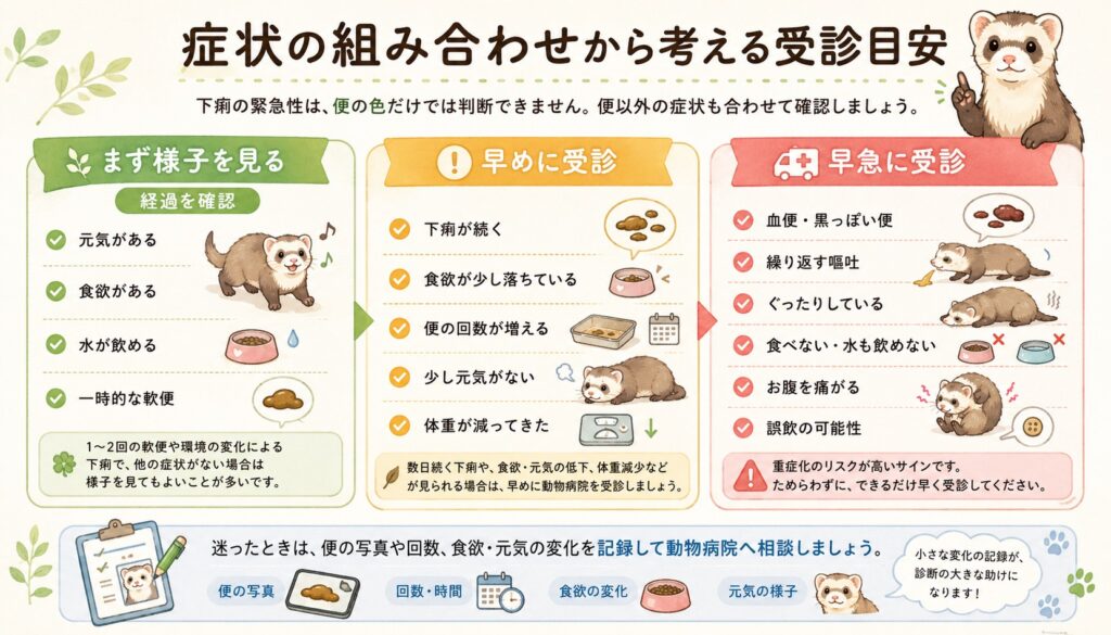 フェレットの下痢で動物病院を受診する目安